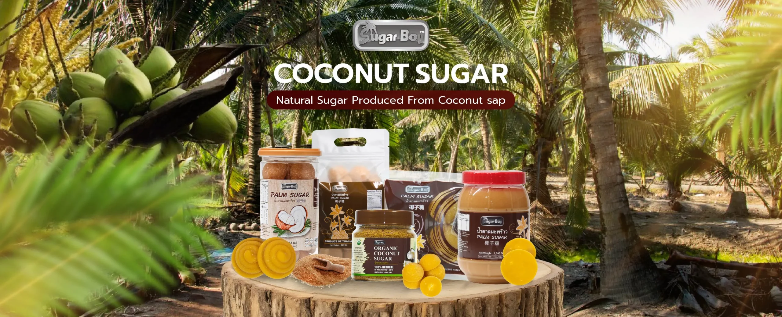 Sugar Boy-edit-2-01_result